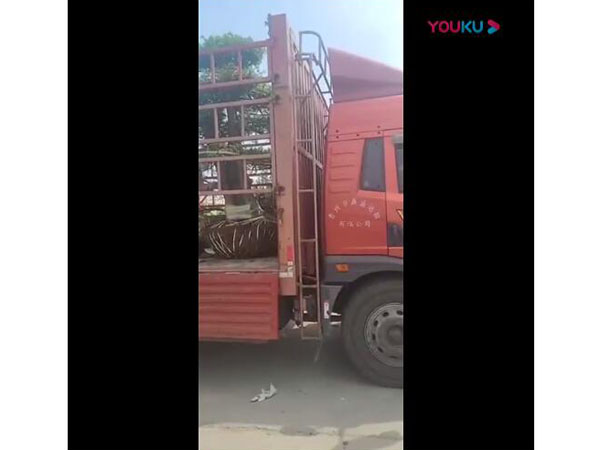 合一花卉發(fā)貨視頻，發(fā)往北京