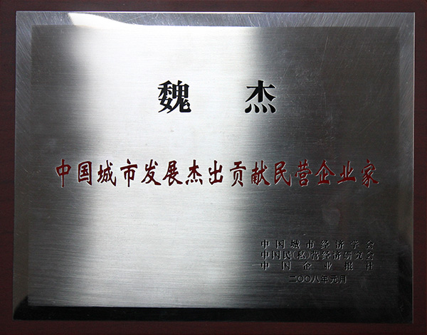 中國城市發(fā)展杰出貢獻民營企業(yè)家